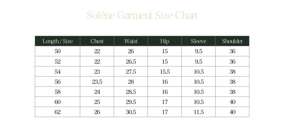 Elegant Black long lined blazer Abaya –Exclusive Collection / Premium Fabric / Limited Edition.